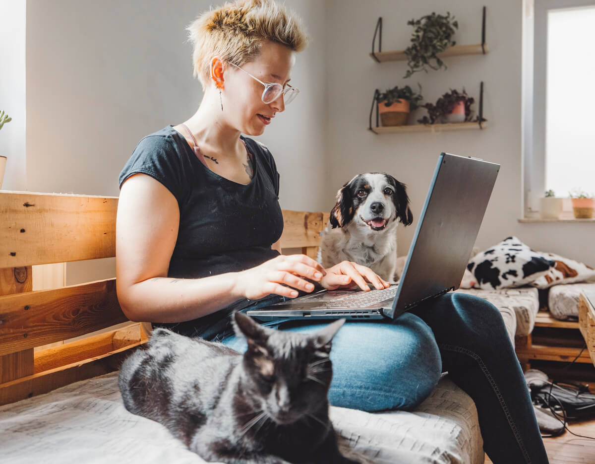 Frau sitzt mit ihren Haustieren am Laptop und sucht im FAQ nach Informationen zu Schiefer-Gedenktafeln